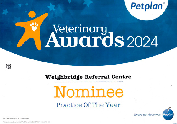 Vet practice nominee of the year 2023