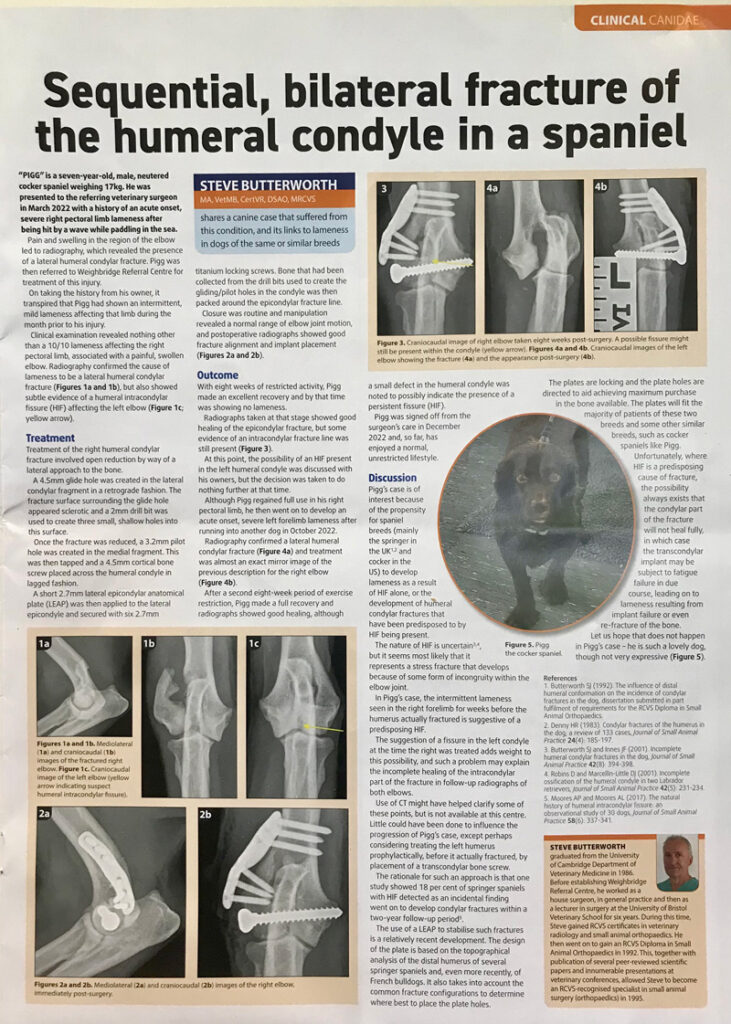 ‘PIGG’ Veterinary Times journal